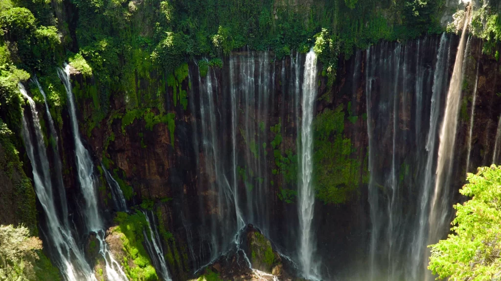 IMMERSIVE EXPERIENCES 3 11 webp